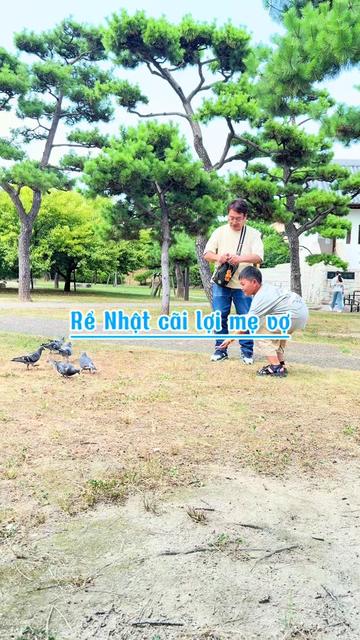 @My Oda 🇻🇳🇯🇵