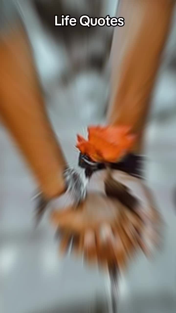 @Sügÿ Mürü ♥️