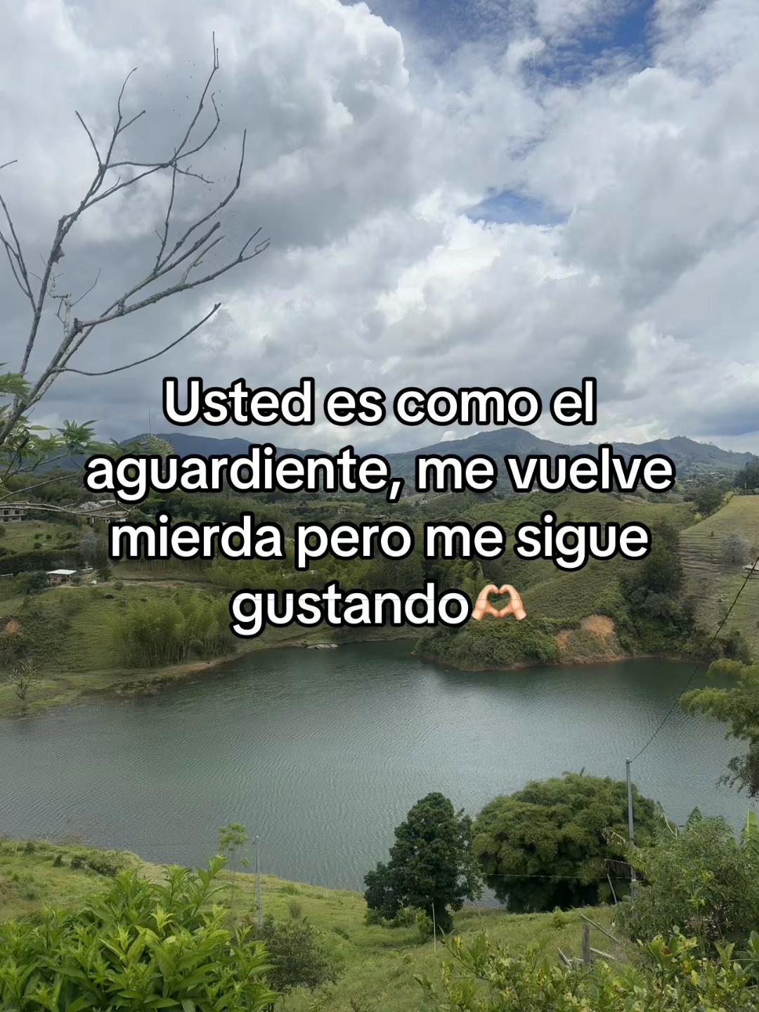 @Miguel Arango