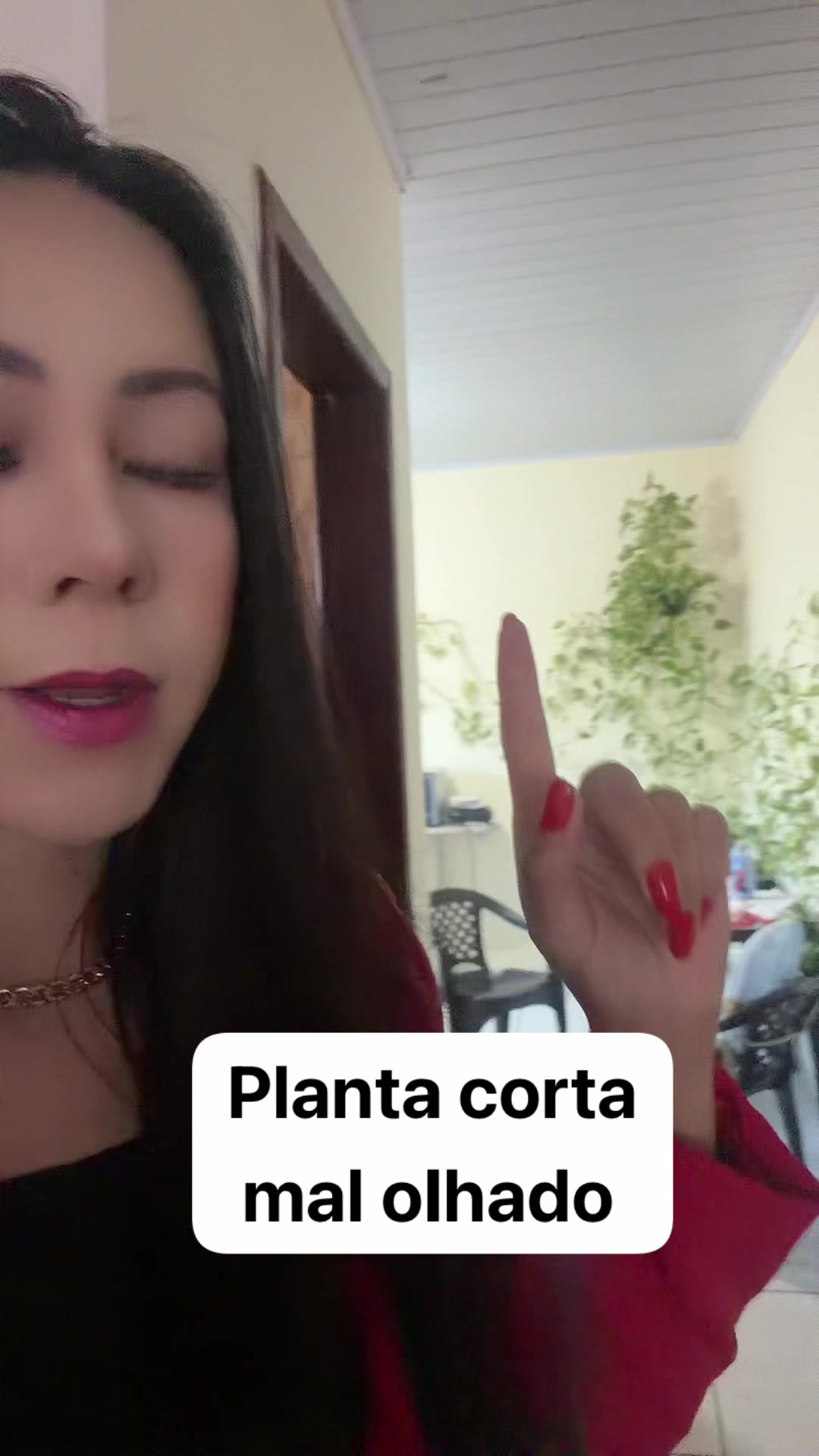 @Isabela Pedroso