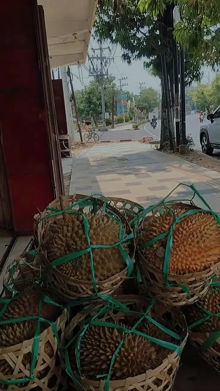 @Kenzhi Durian Tuban