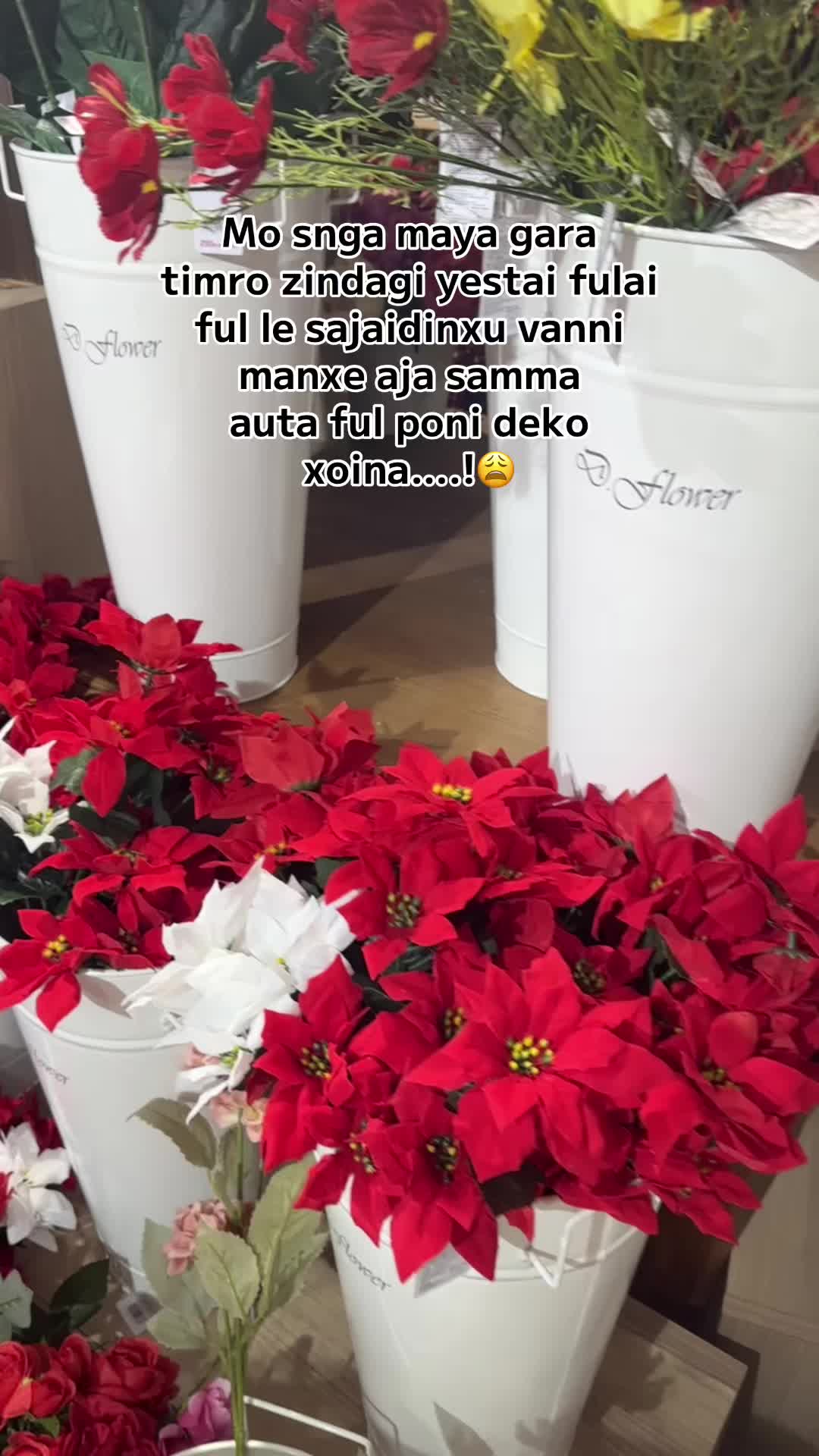 @Priyanka Dangoriya