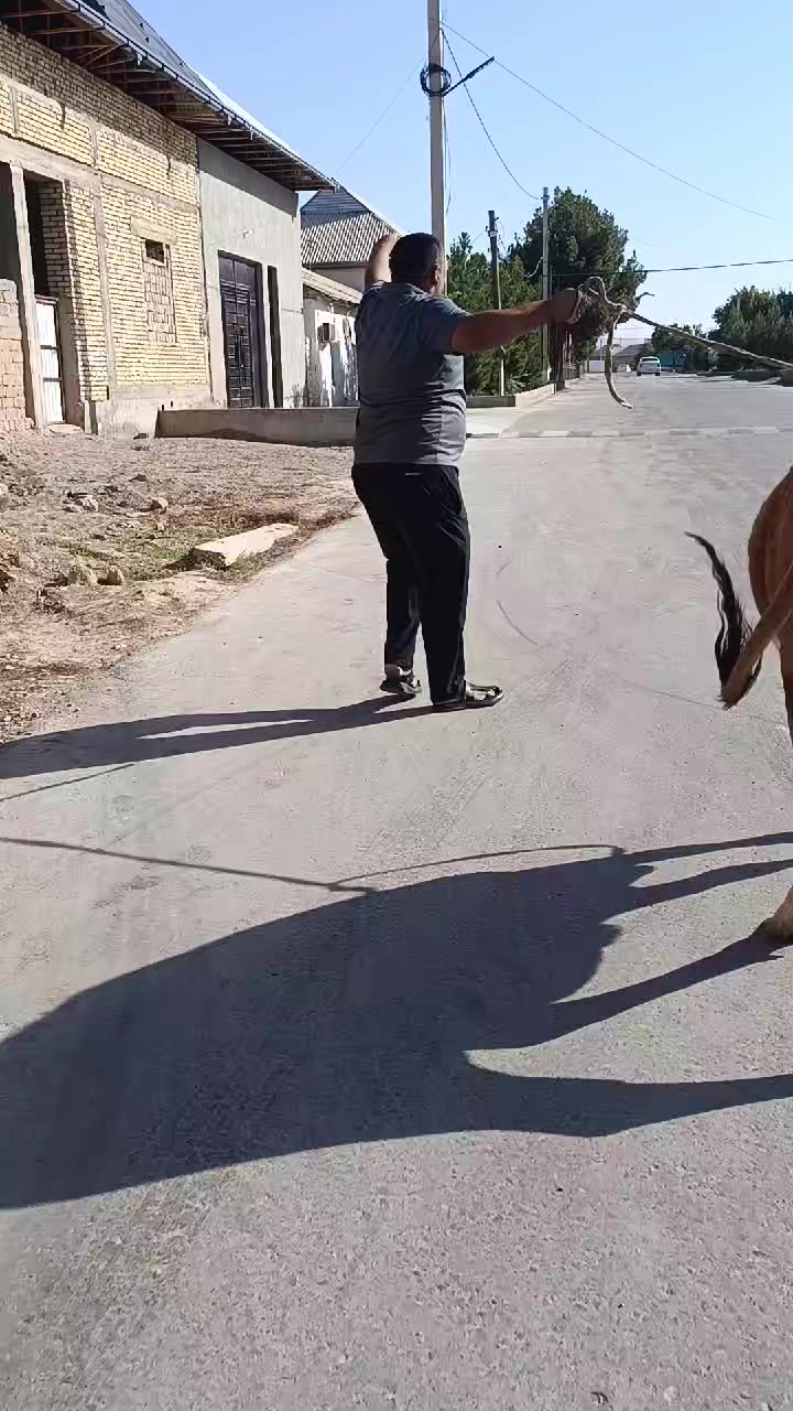 @nodir1143