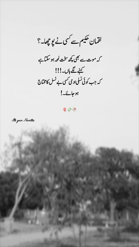 @its your N