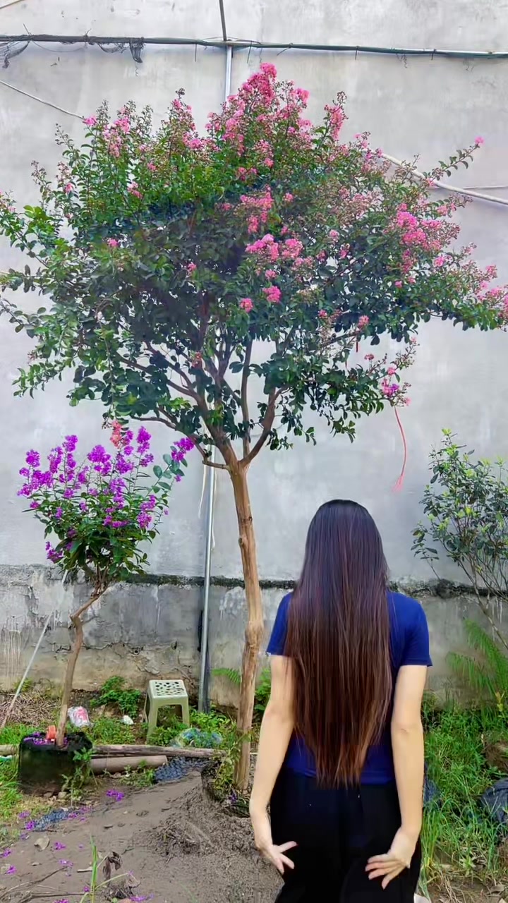 @Khổng La