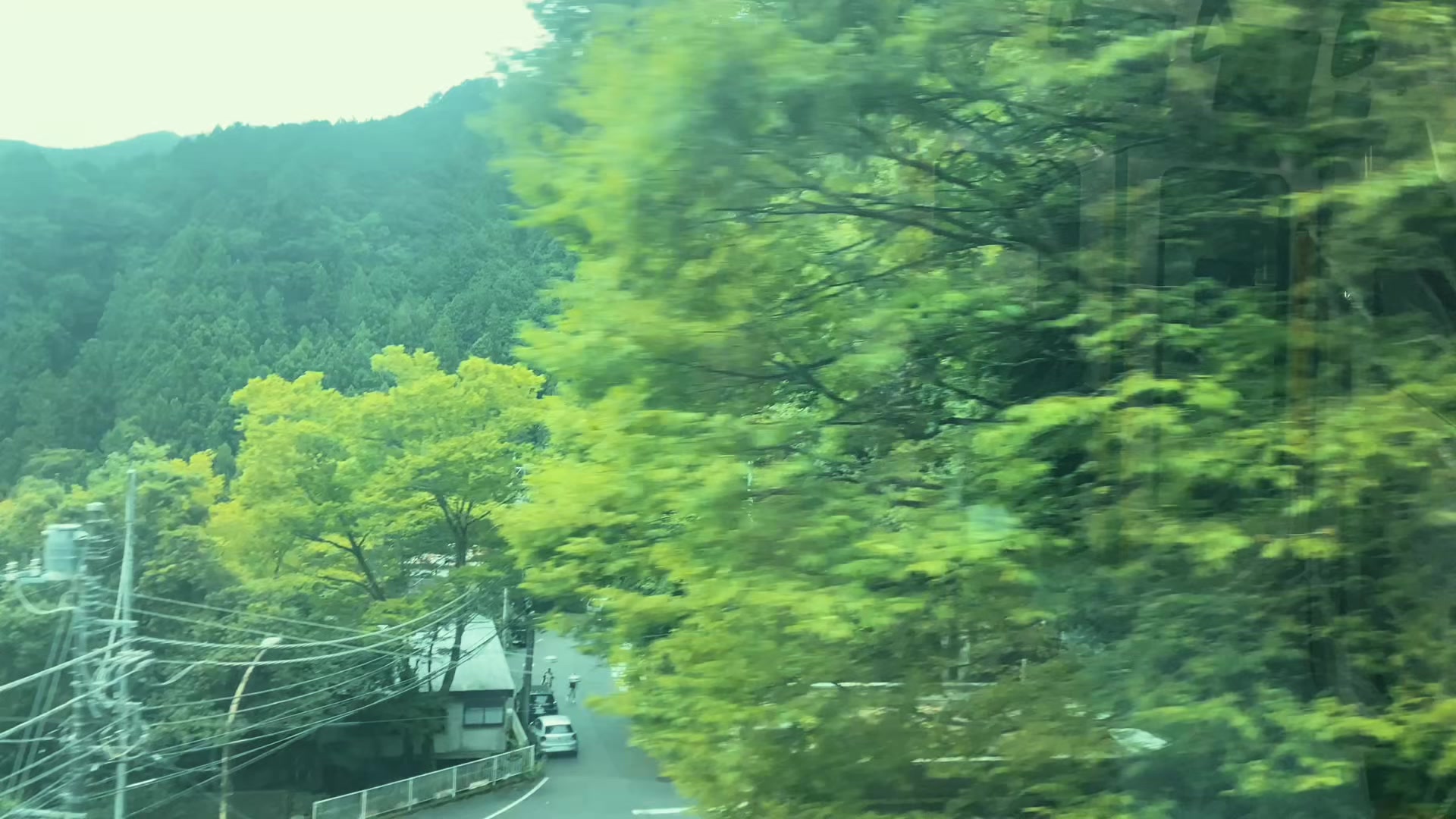 @富森