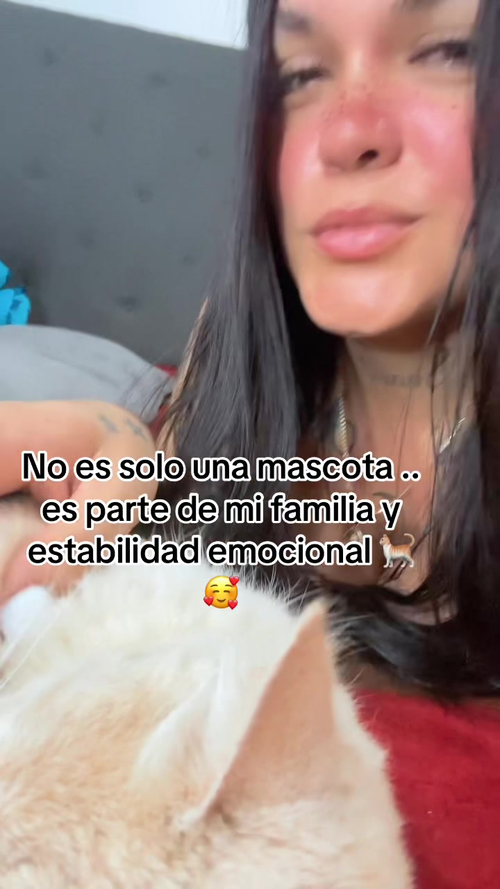 @marcelafregozo0