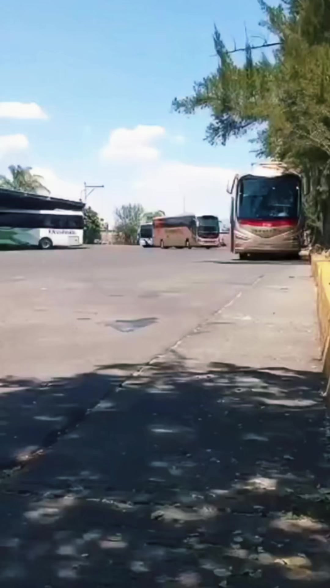 @Jorgevalencia 🙂&zwj;&harr;️
