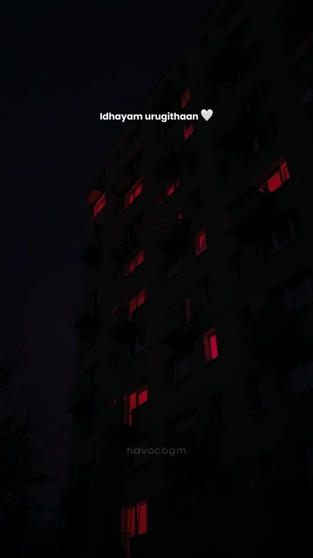 @☆♡𝓱𝓪𝓿𝓸𝓬𝓫𝓰𝓶☆♡