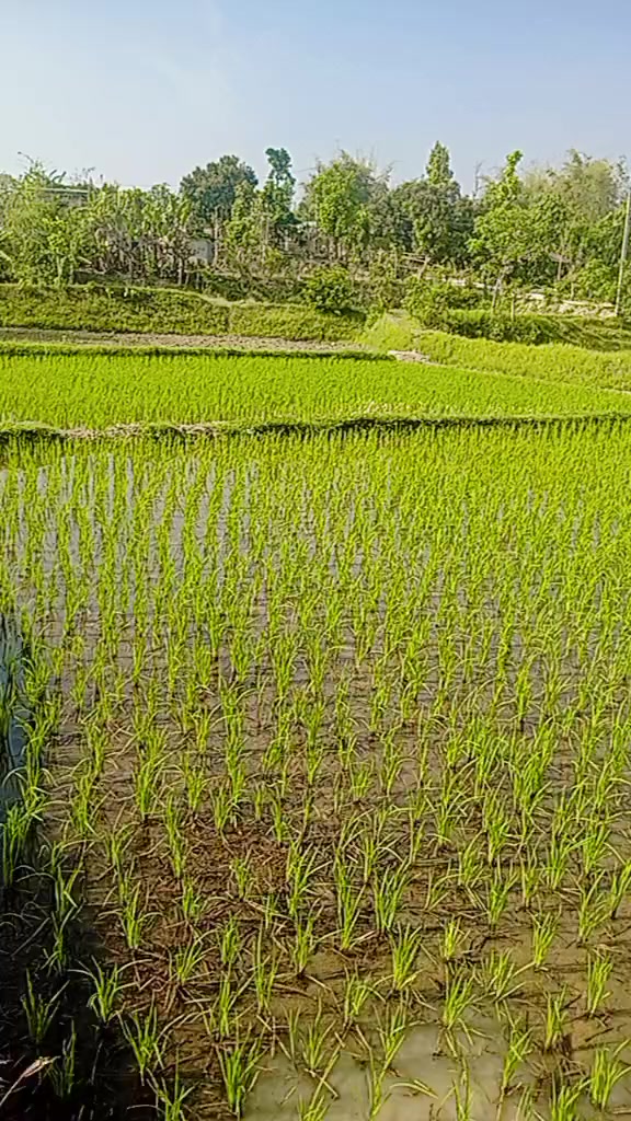 @Smita rai