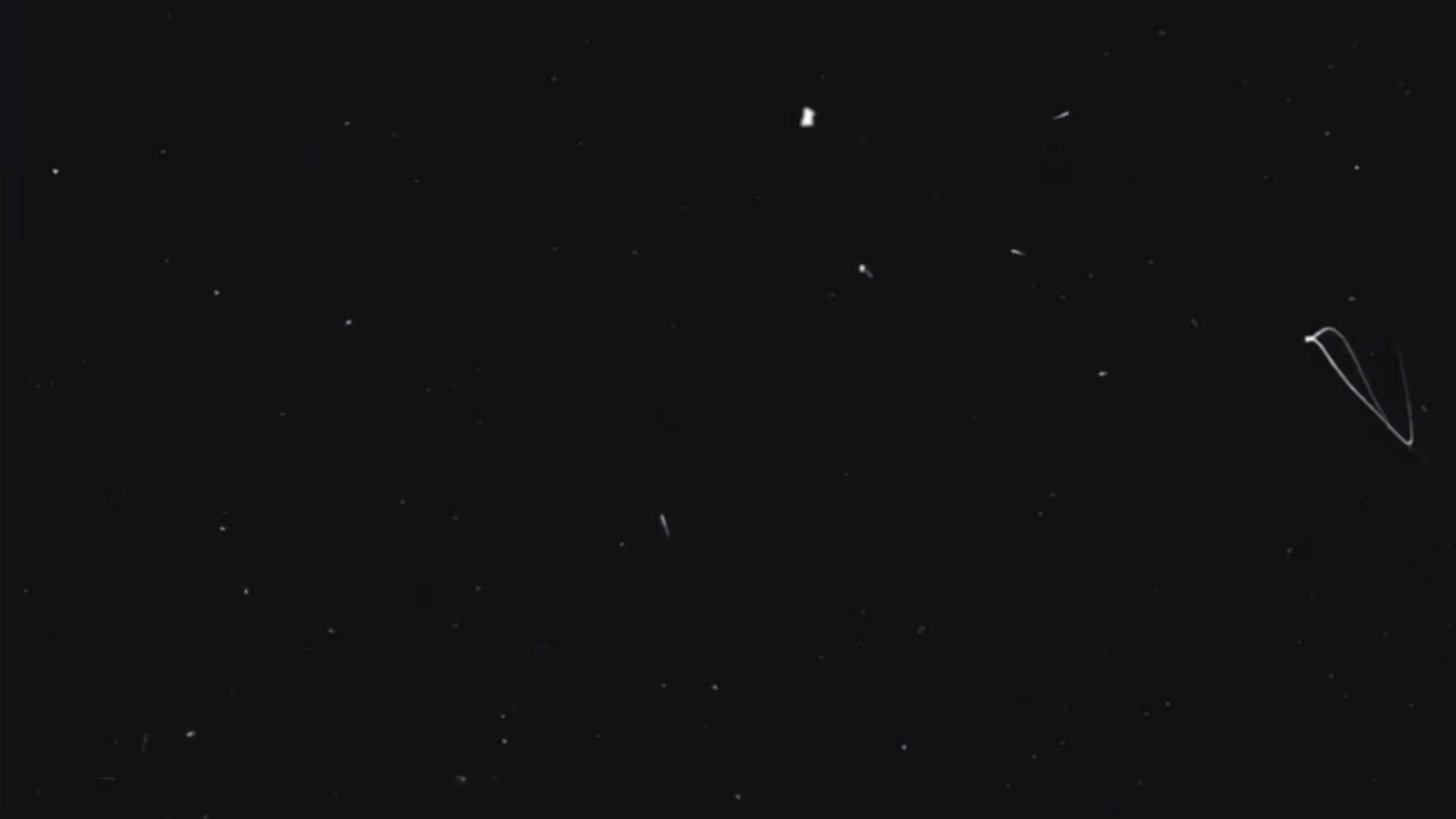 @lelencoco