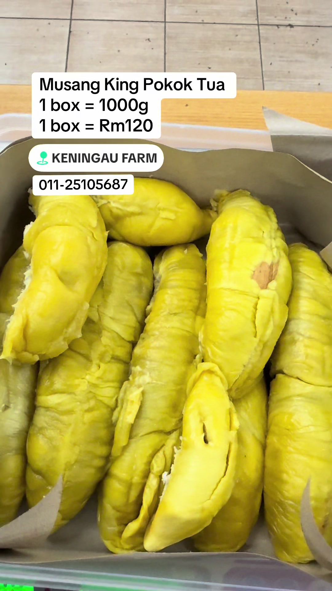 @Keningau Farm