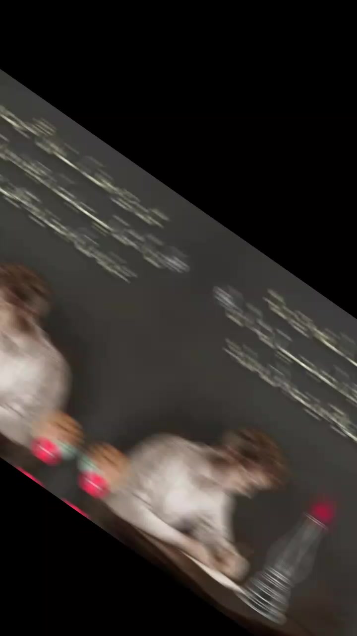 @𓂀 𝕂𝔸𝕄ℝ𝔸ℕ 𝔾ℍ𝔸ℕ𝔸𝕄ℝ𝔸ℕ𝔾