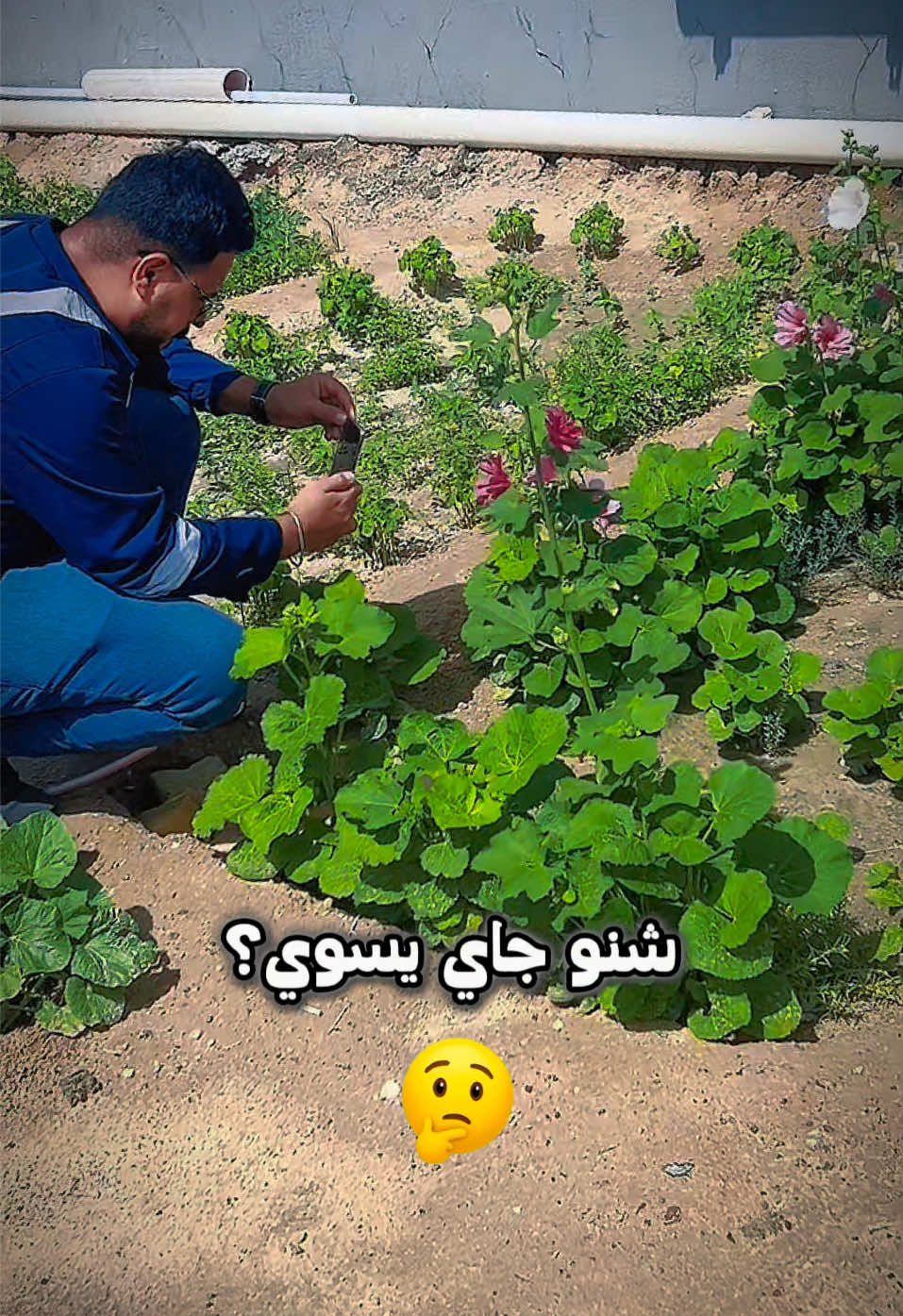 @حسين علي | Hussein Ali