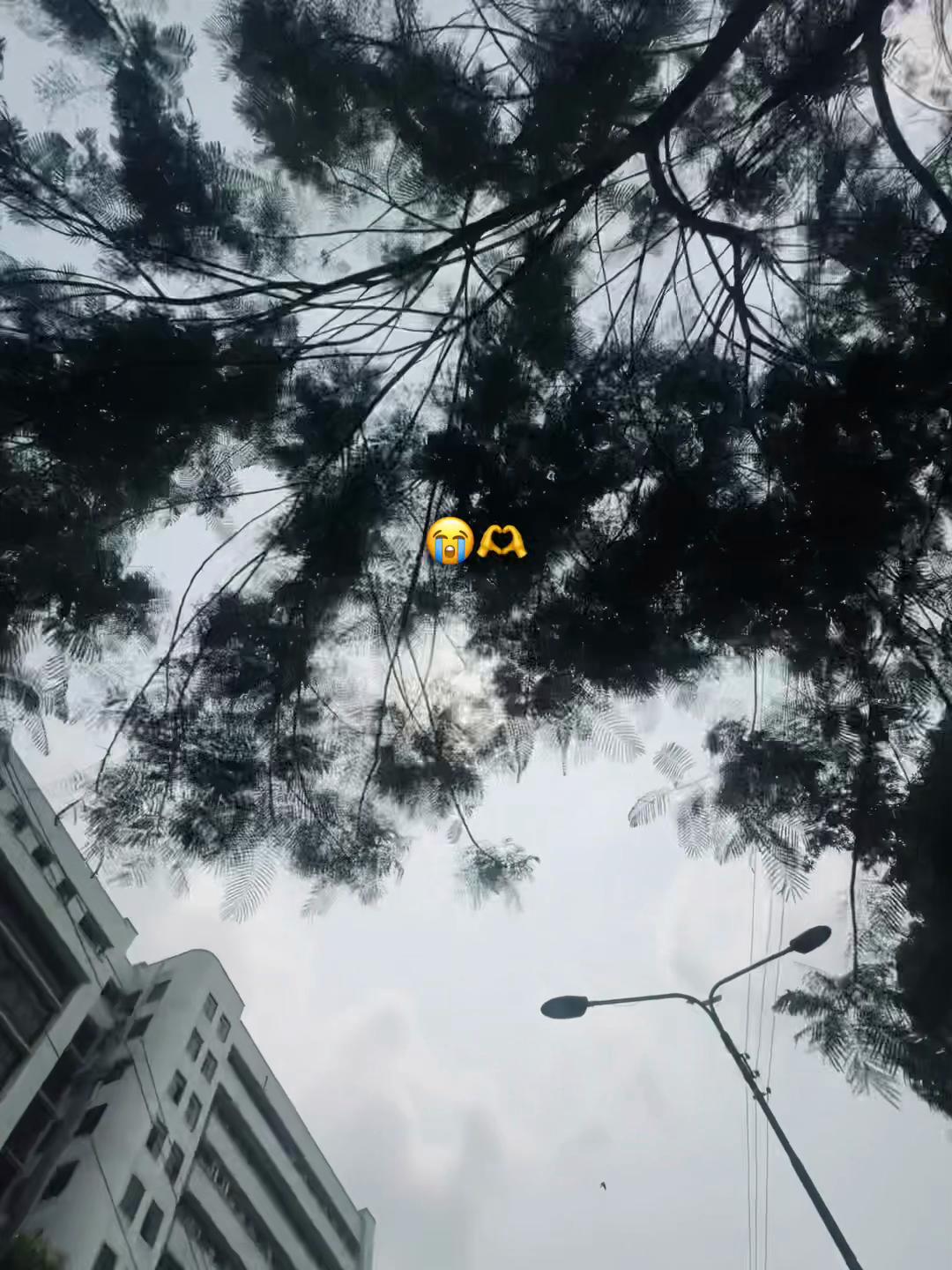 @Shahin Bhai