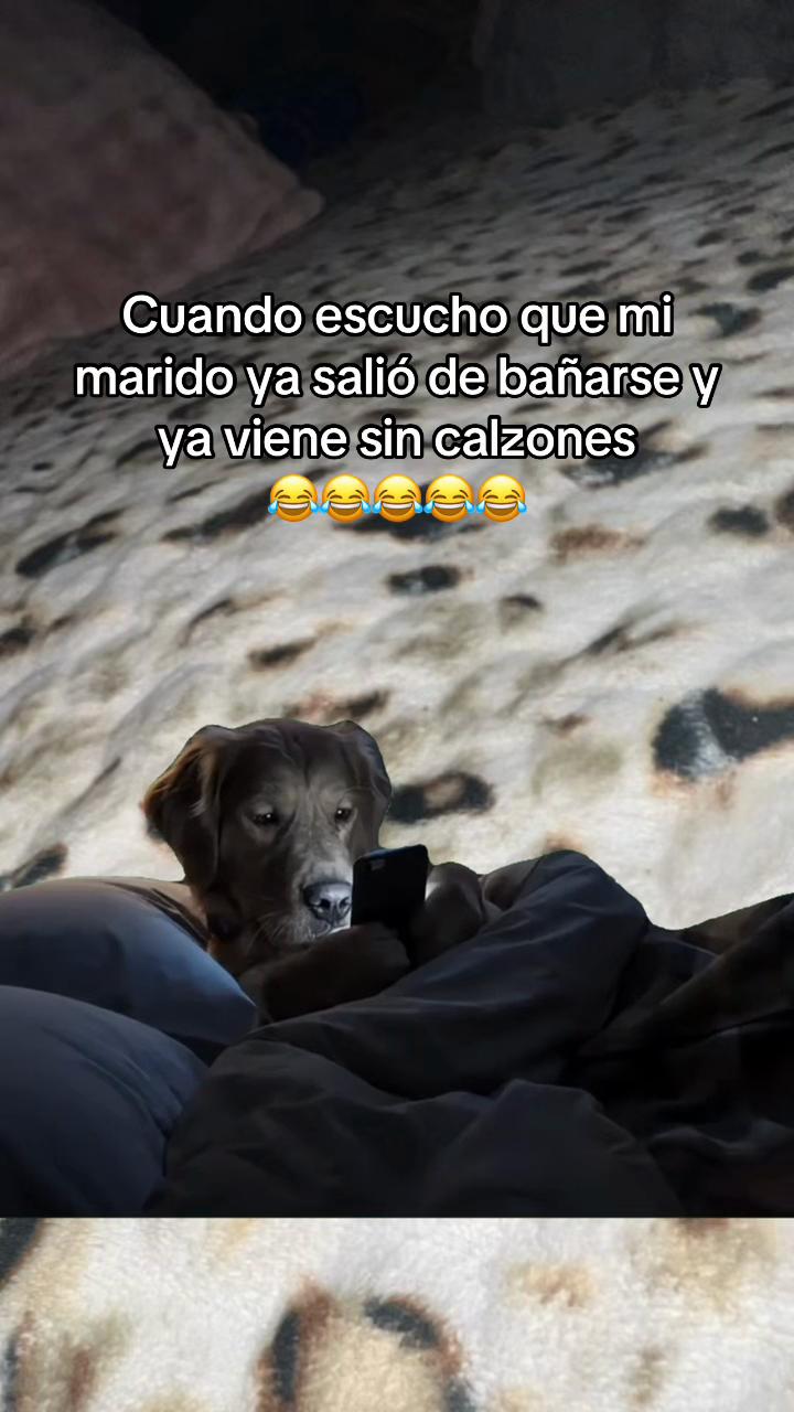 @Fely