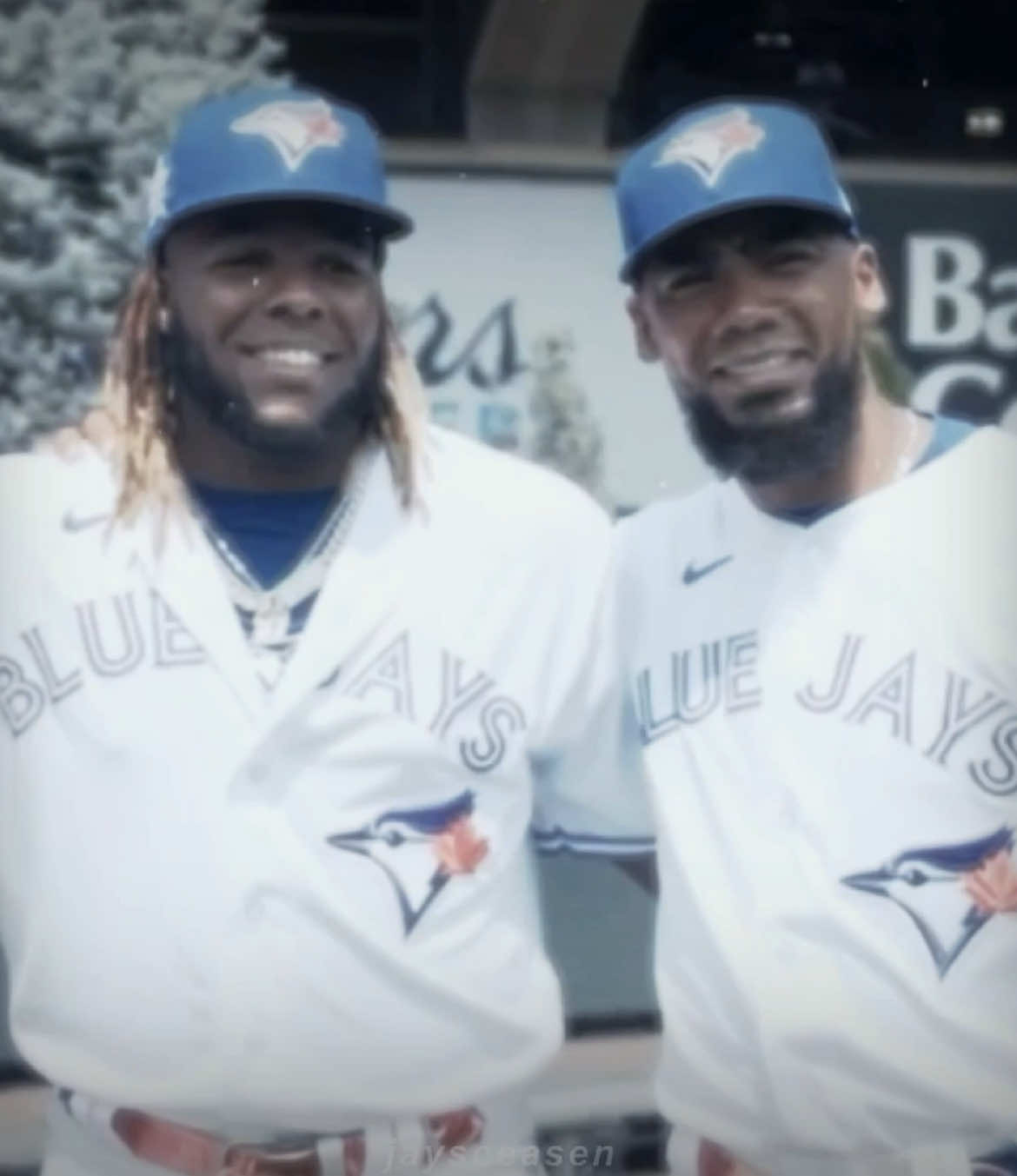 @dansi ⚾️