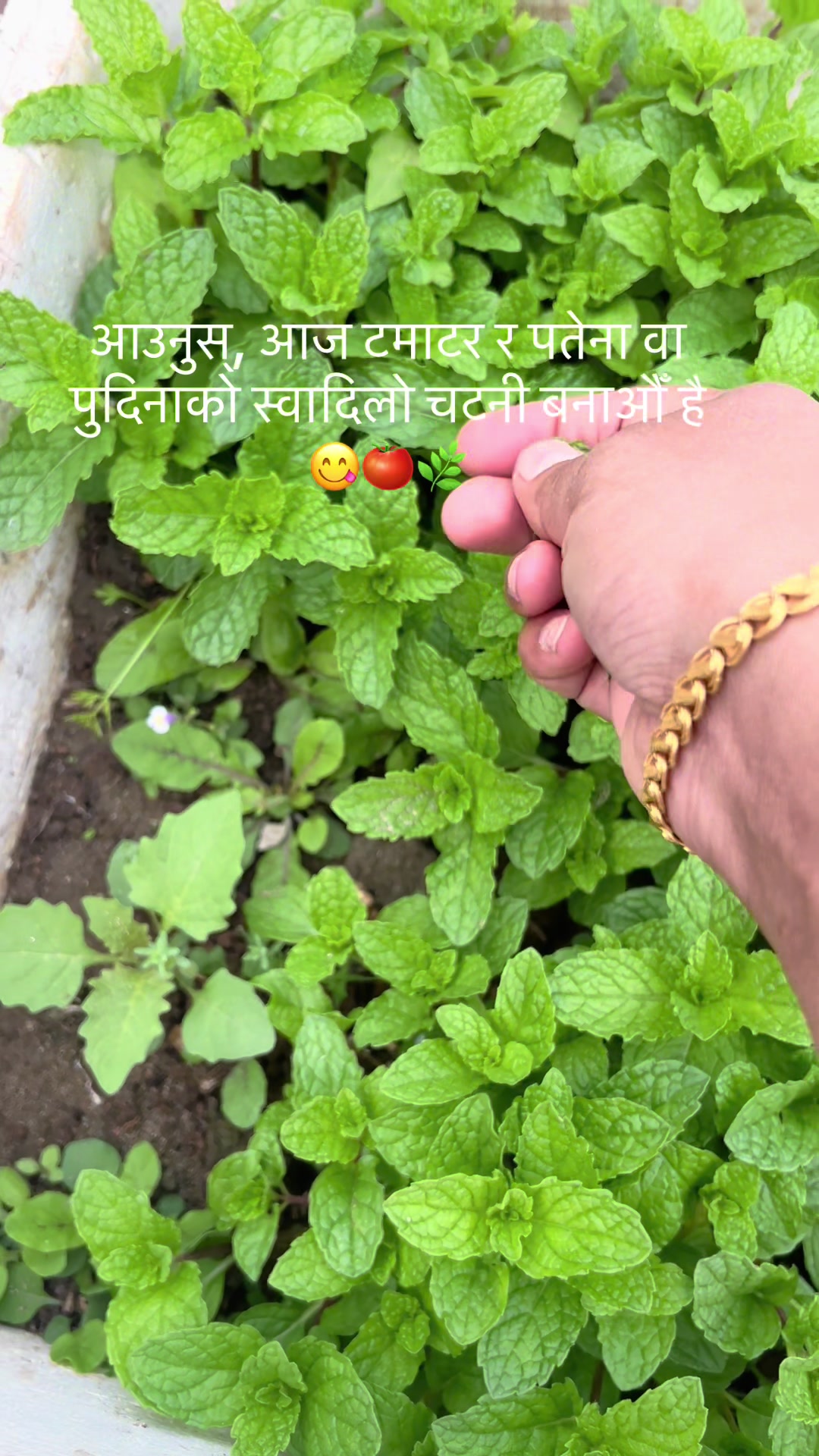 @An<zu🕉️
