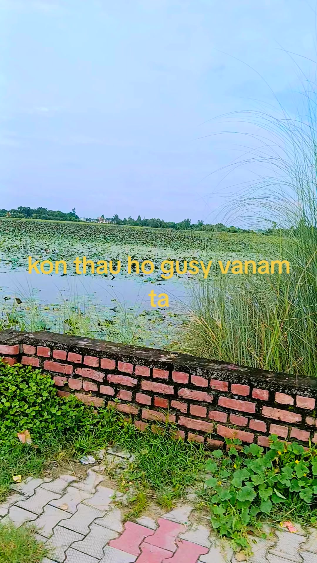 @अमित थारु 🇳🇵♥️💐