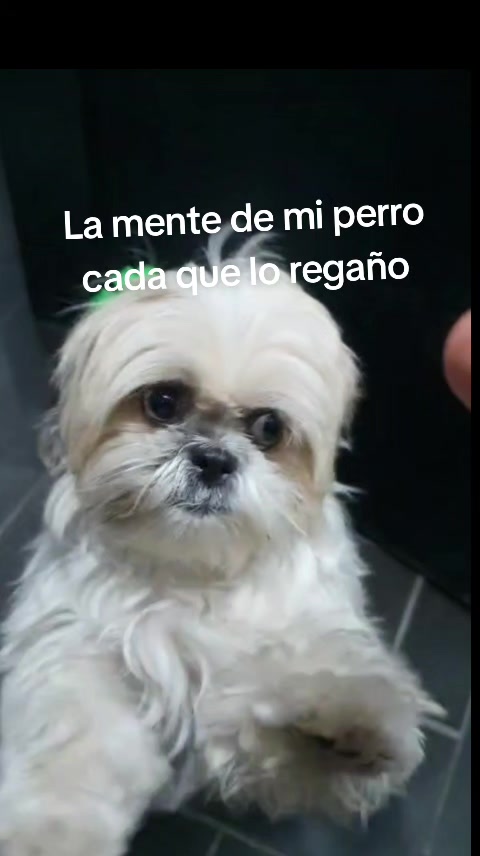 @Gabriela Perez