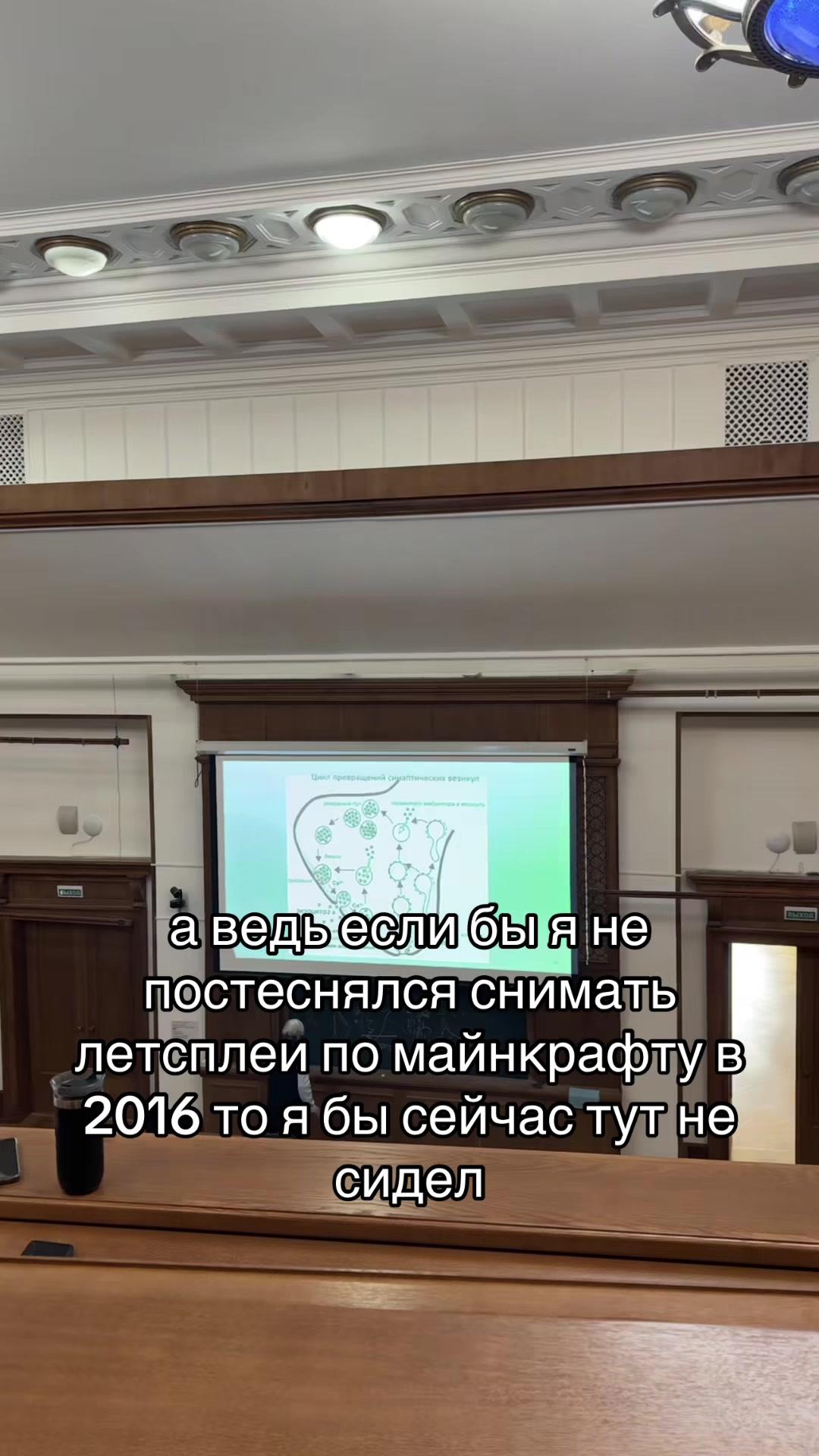 @тгк: сдвг и ерунда