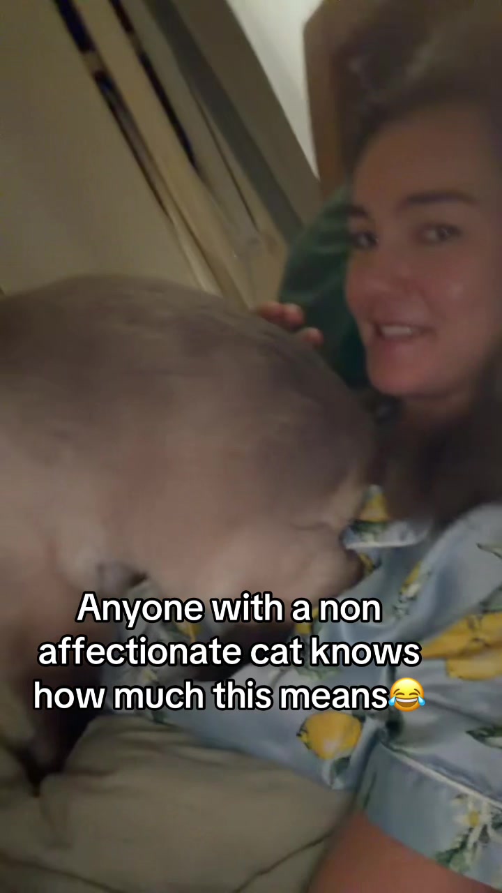 @valentinamiddlebrook