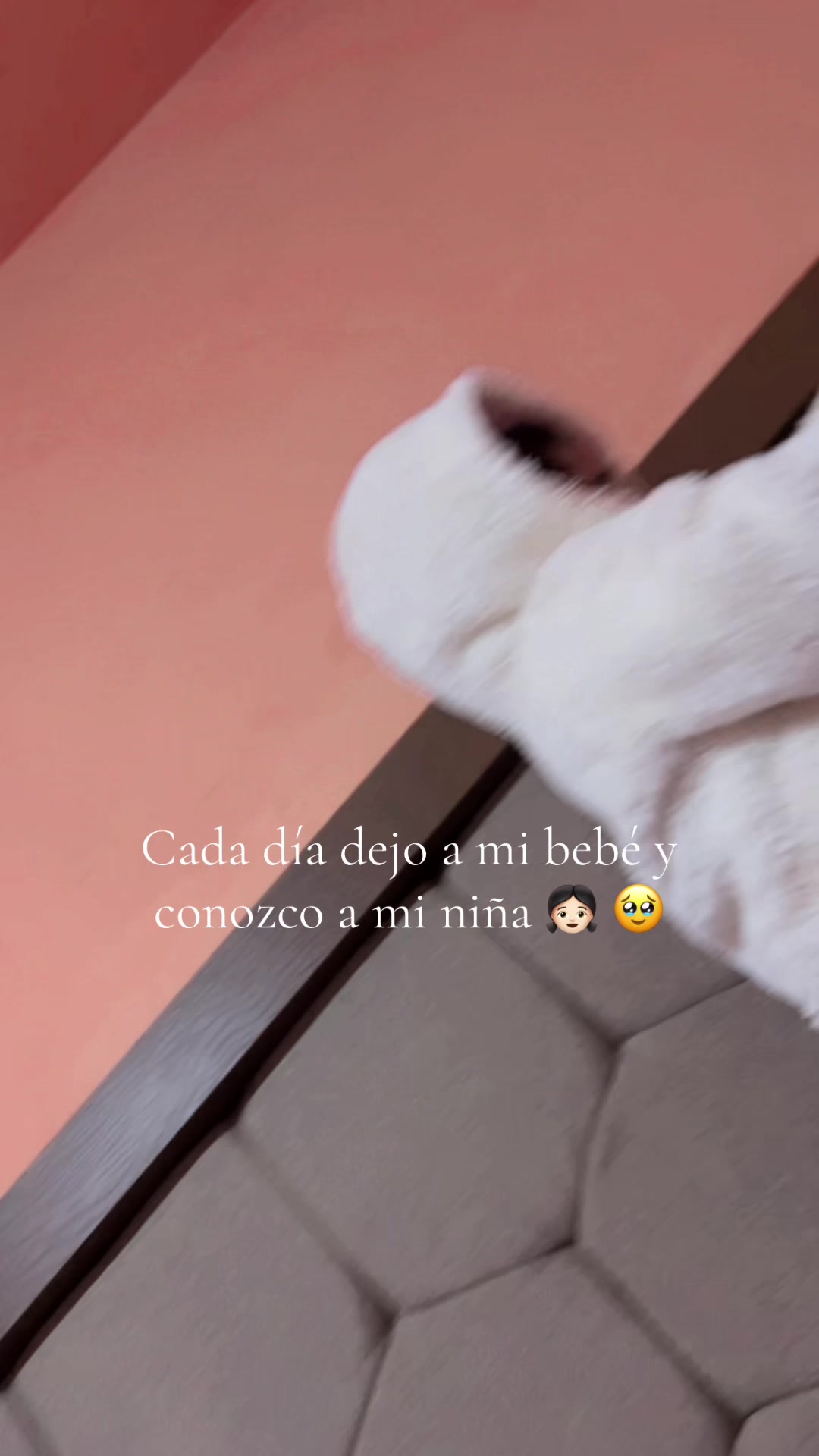 @Denisse Rodríguez