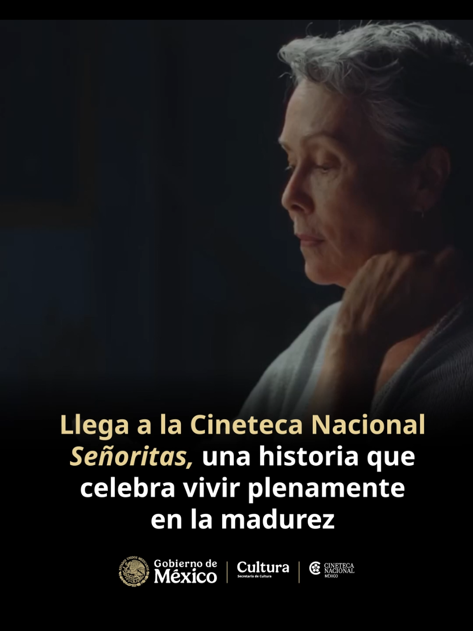 @Secretaría de Cultura México