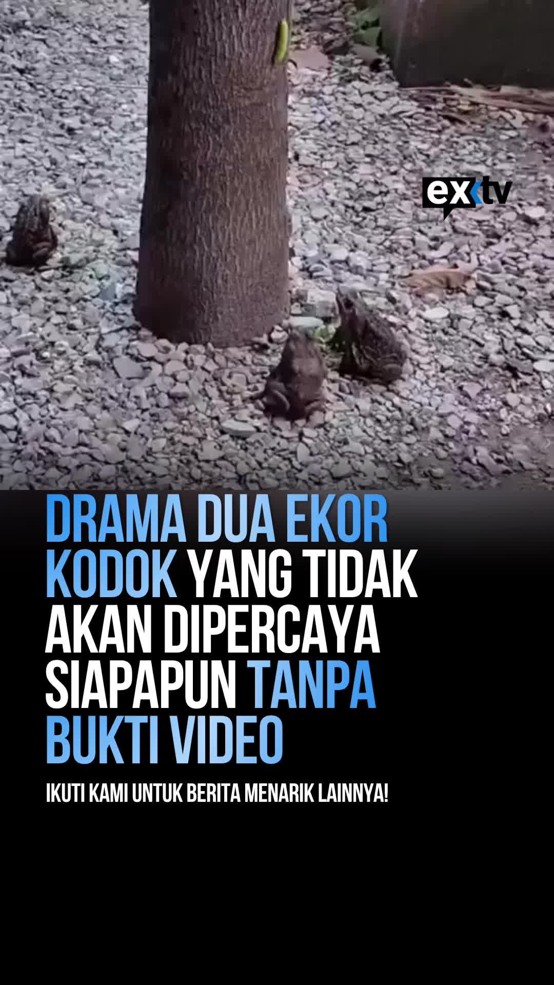 @Expressi Media