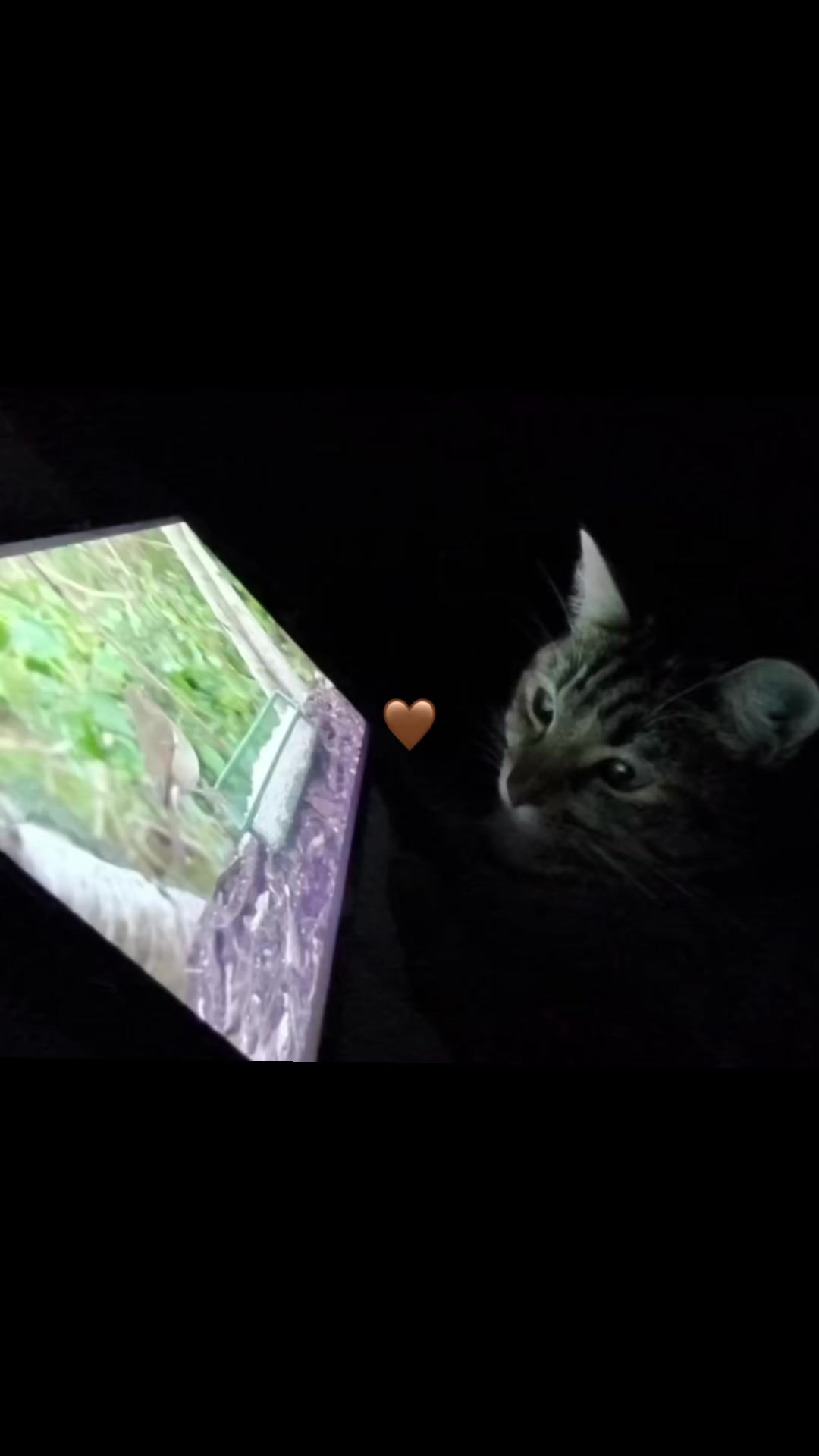 @nn_tipa.52