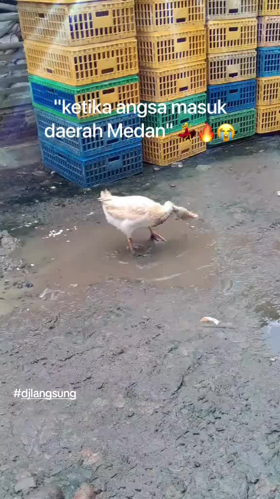 @unknown?