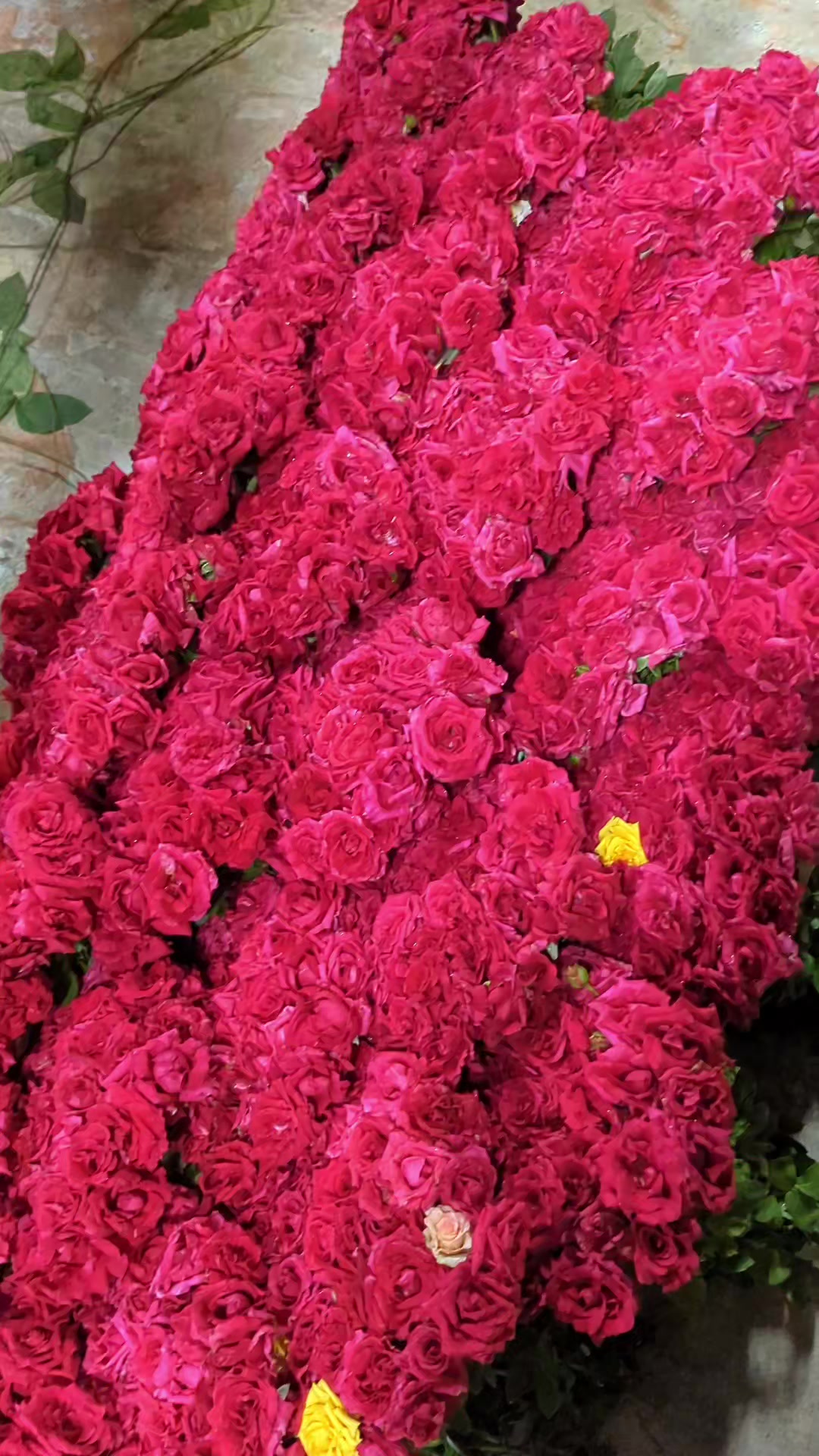 @গোলাপ গ্রাম 🔘