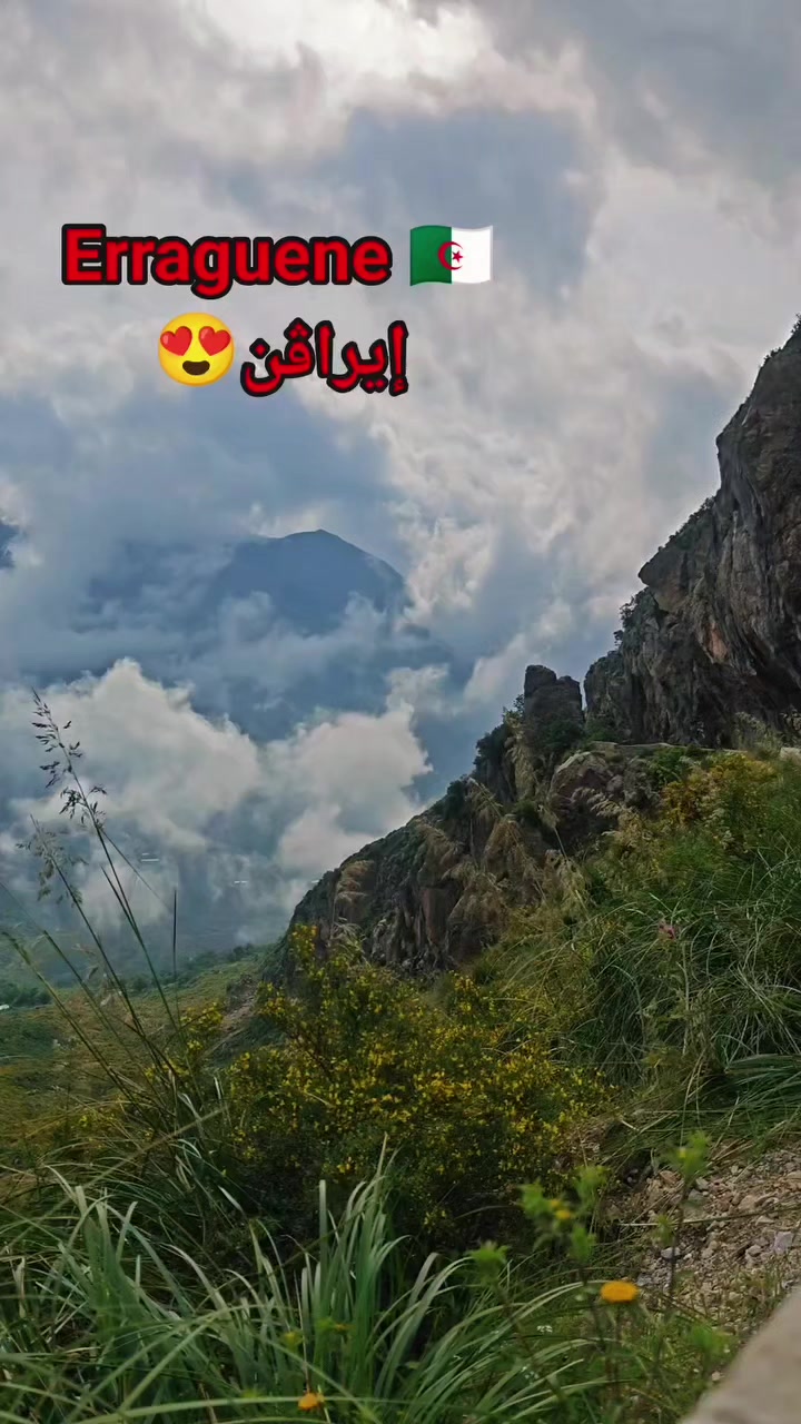 @Into the Wild