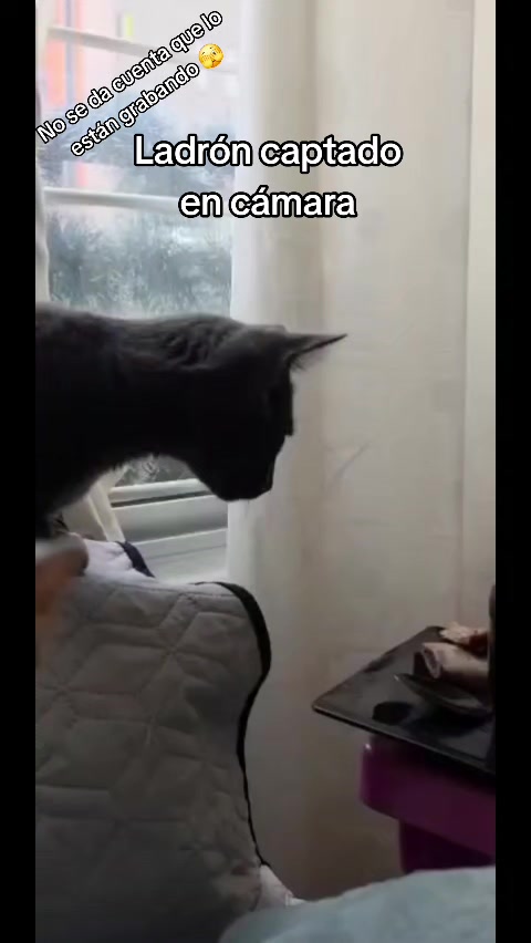 @F4MILY TIM3