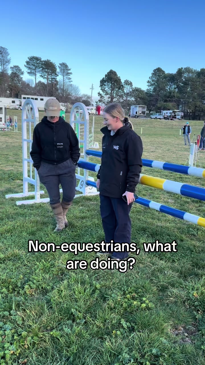 @TDDG Equestrian