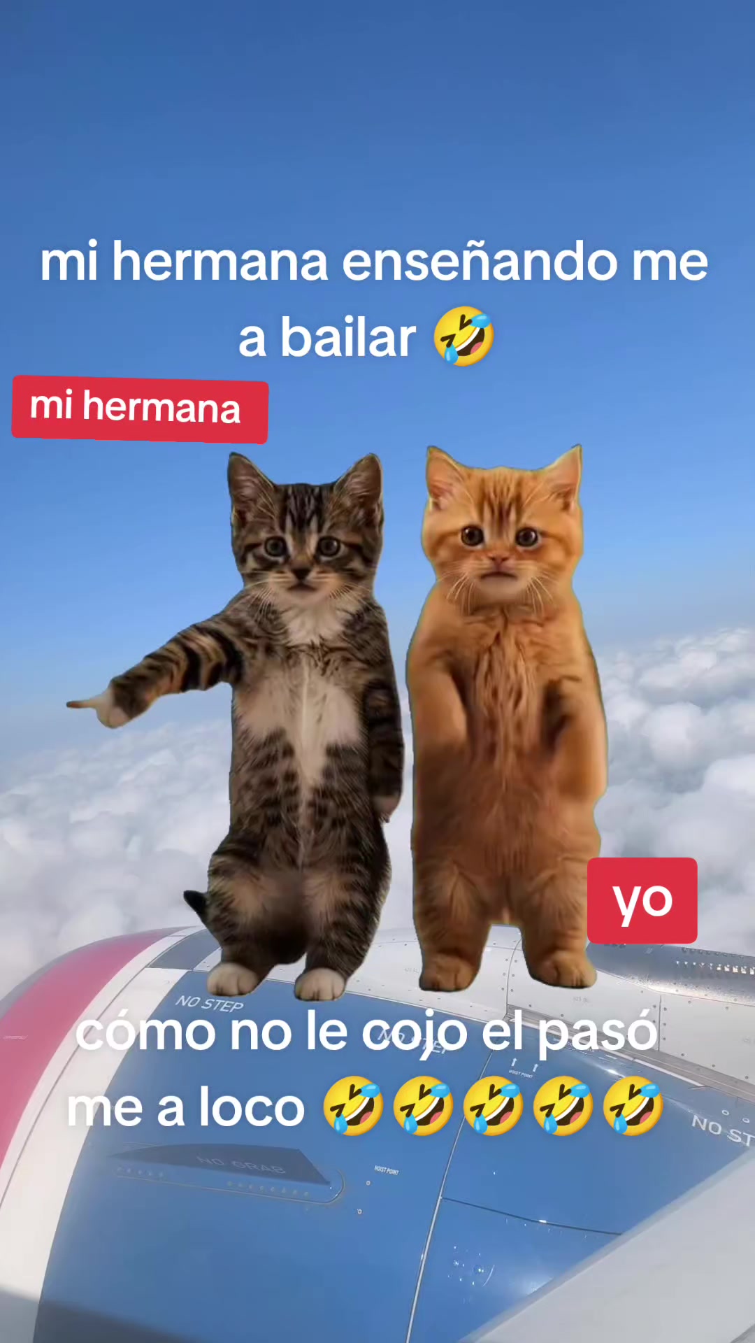 @Aleja  Ruiz