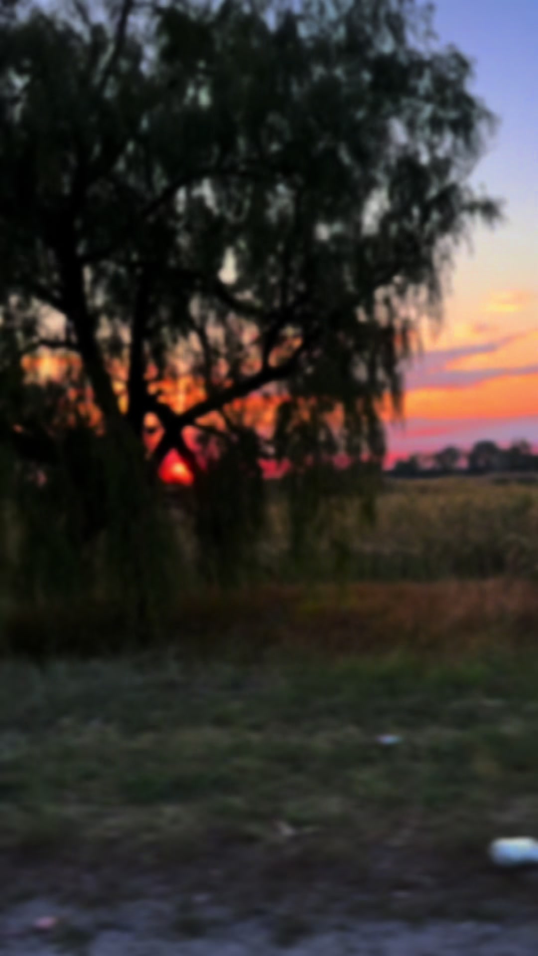 @Юлія Чечель