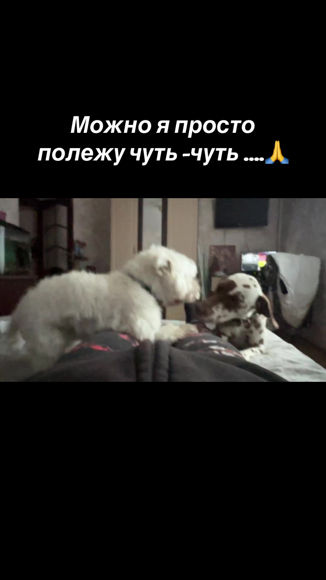 @Анастасия Чернявская.