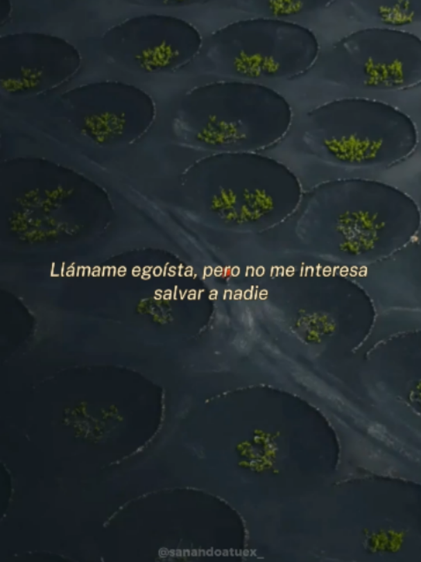 @Sanando a tu ex