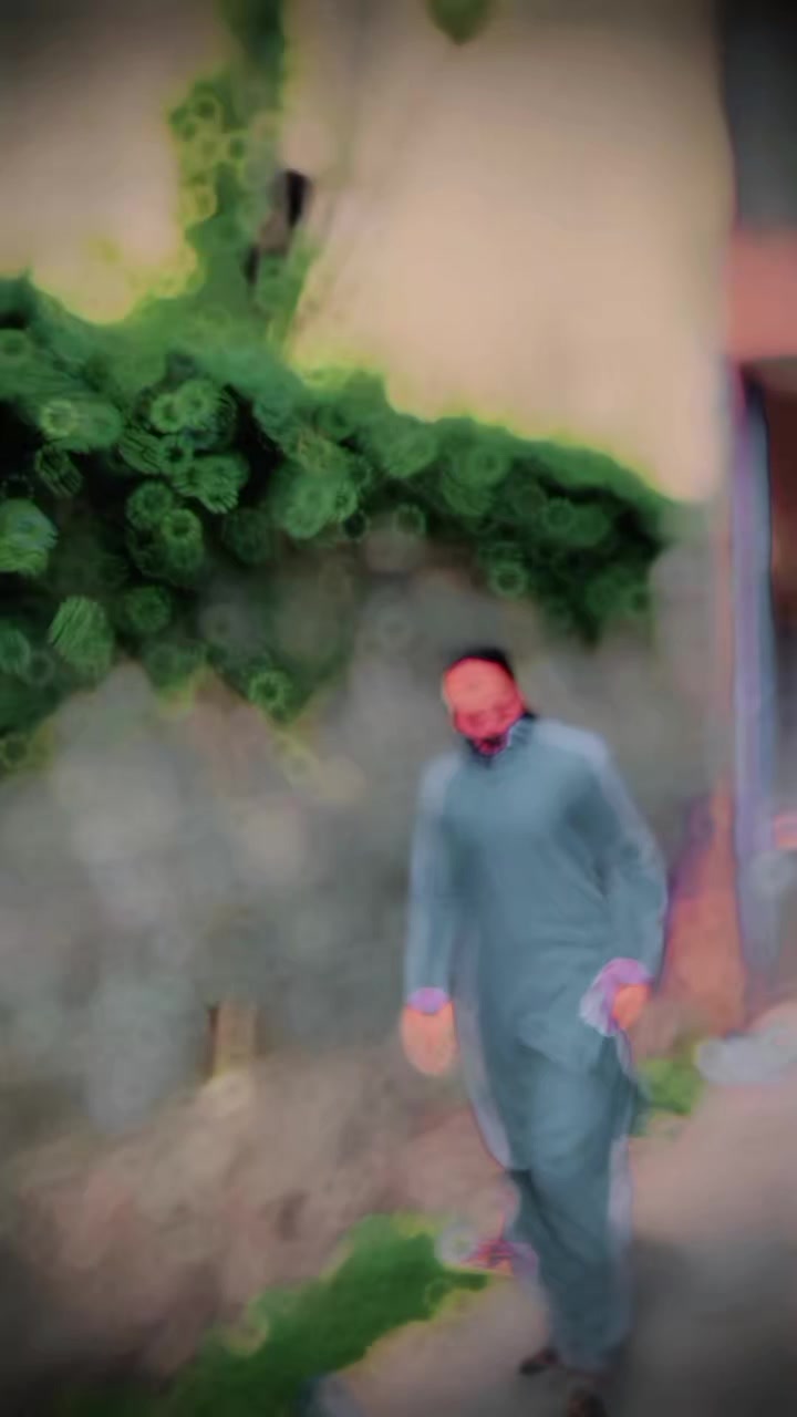 @راجہ مبشر
