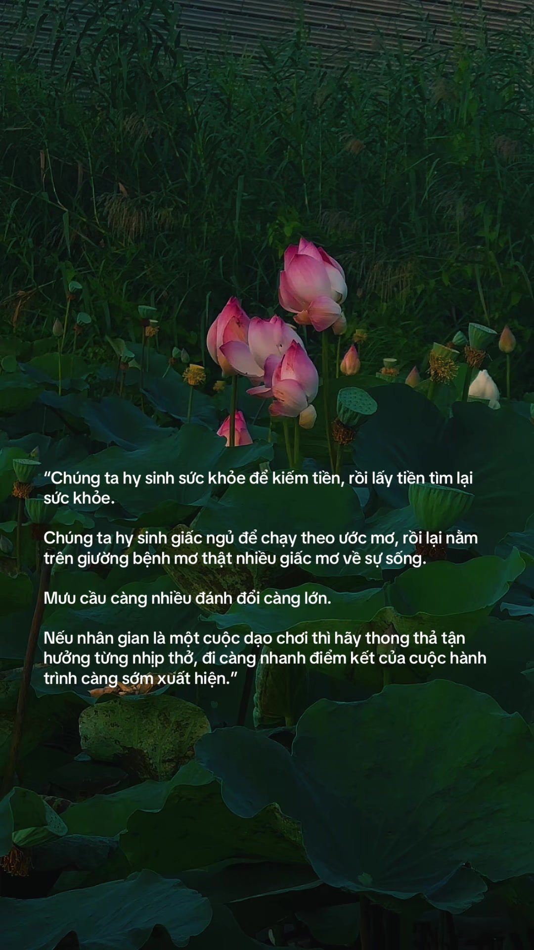 @Tui Tên Toàn