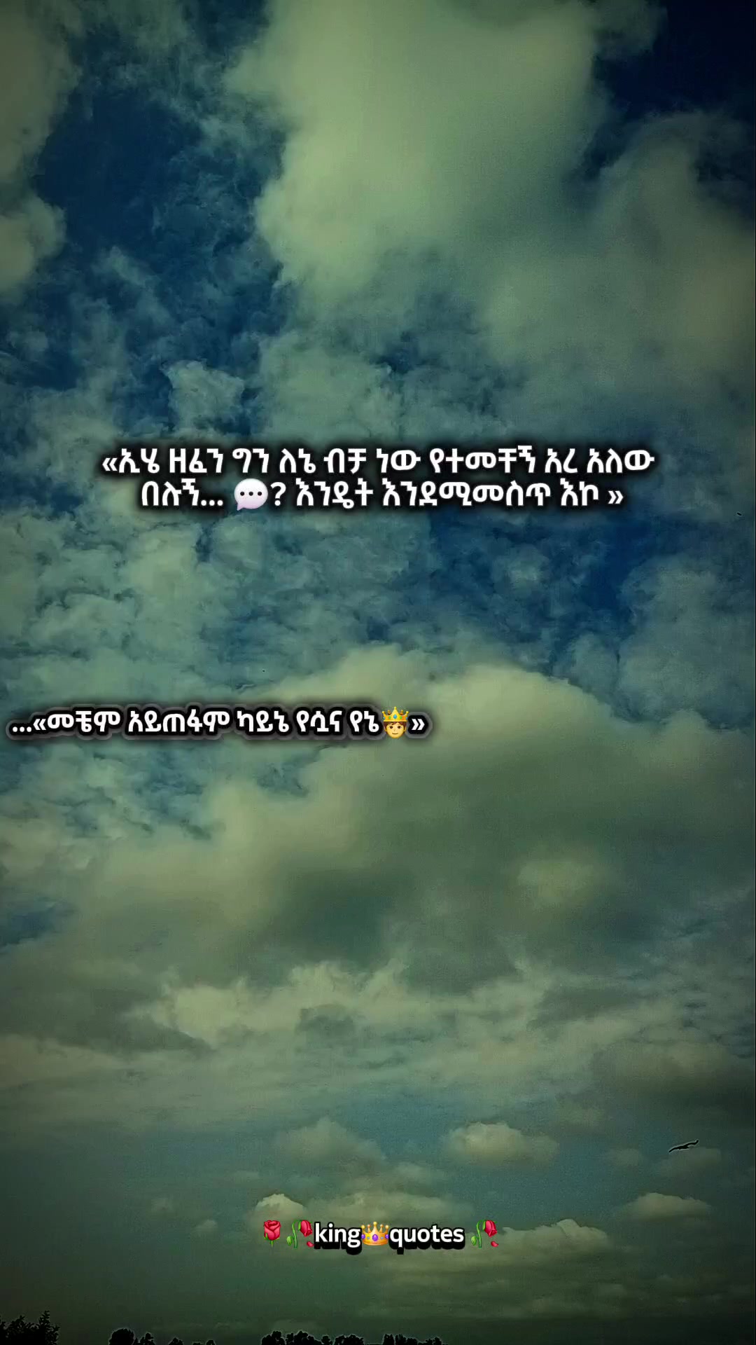 @🌹🌾king👑 quote's 🥀🥀