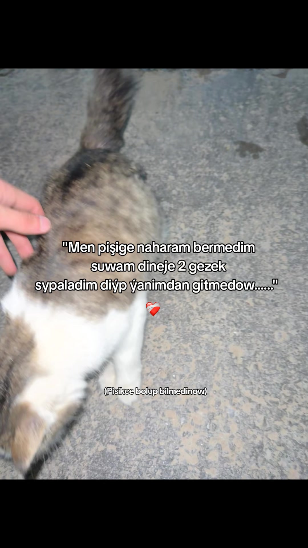 @ℛ𝒶𝒽𝓂𝒶𝓃ℴ𝒻𝒻__7