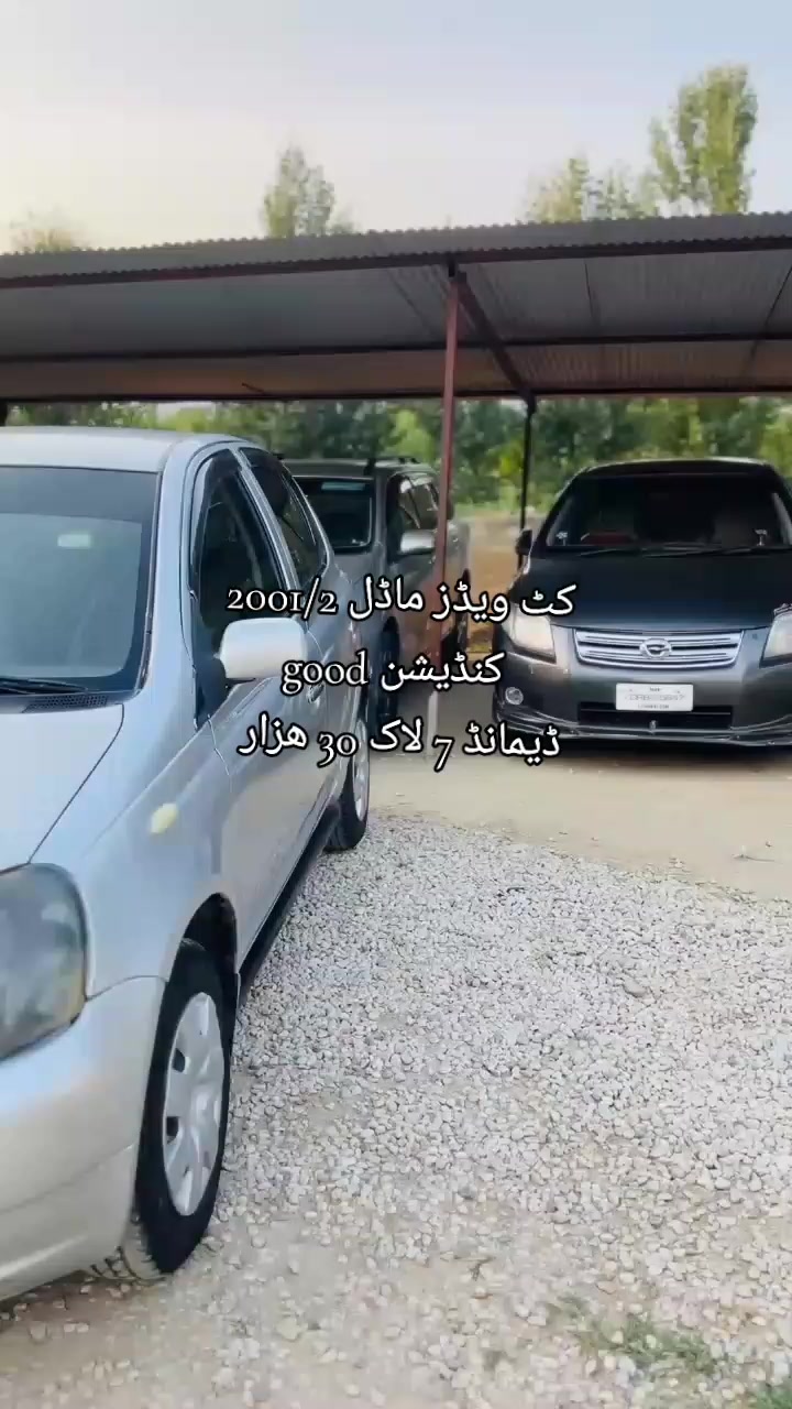 @ncpcarlover1