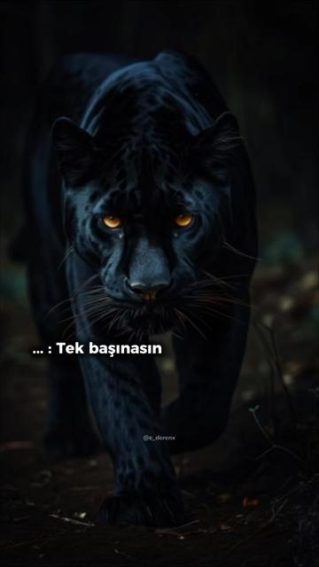 @ZELİŞŞ🚘