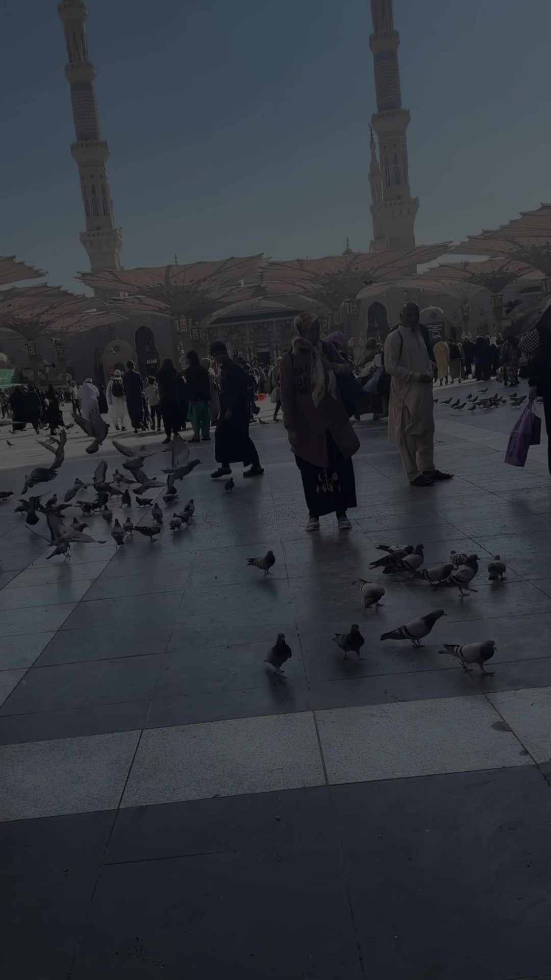 @Muslim Sphere