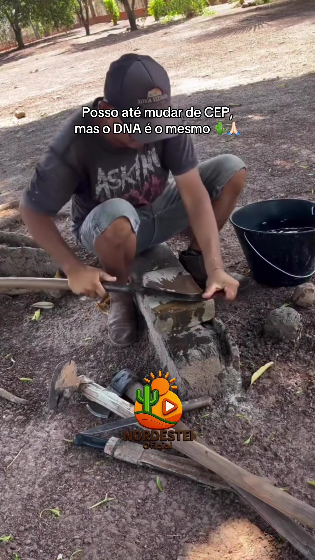 @nordesteioficial
