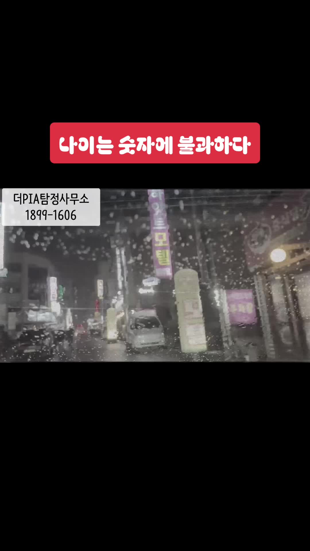 @더탐정 : ThePIA