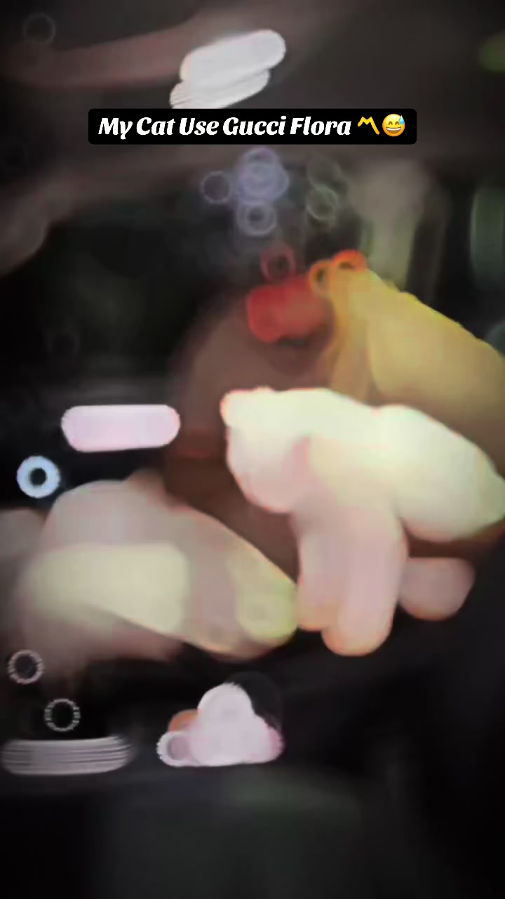 @Asadsajjadkhan