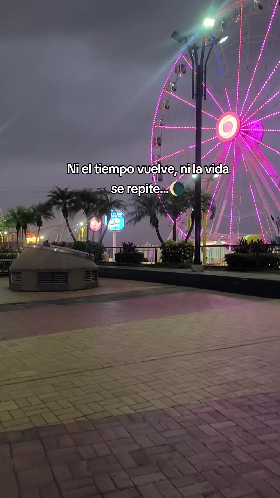 @Dulce Alexiita